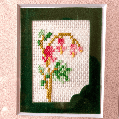 サザンクロス・フラワー刺繍額   (花8種)