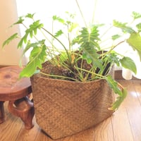 バリュウリーフの折りたたみバスケットM　Bariw Leaves