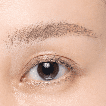 LENALEVI ブロウマスカラ | COMMUN