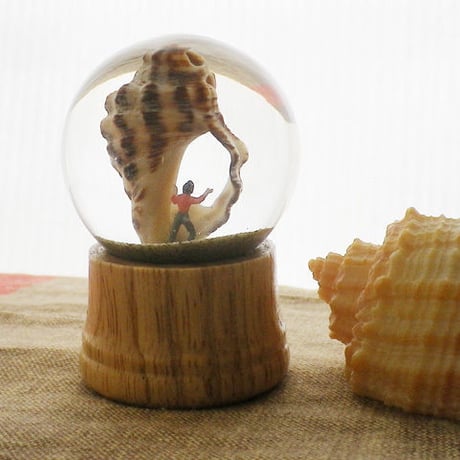 砂ドーム - snail house -