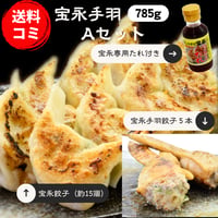 宝永手羽Aセット　【送料込】