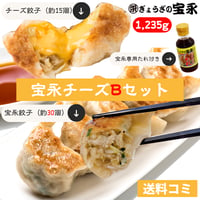 宝永チーズ手羽Bセット 【送料込】