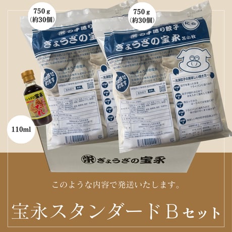 宝永スタンダードBセット　【送料込】