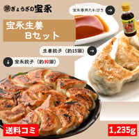 宝永生姜Bセット【送料込】