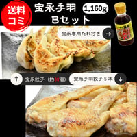 宝永手羽Bセット　【送料込】