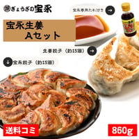 宝永生姜Aセット【送料込】