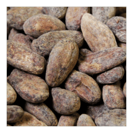 bean-to-bar-org