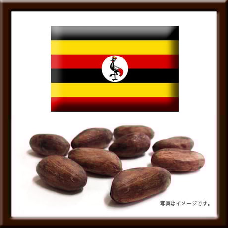 bean-to-bar-org