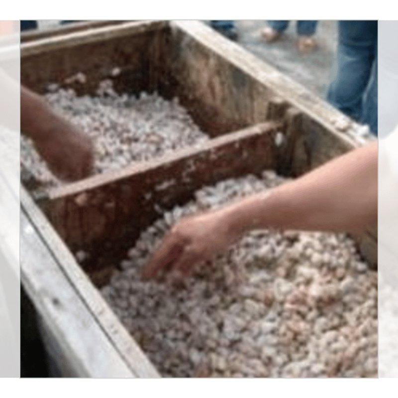 カカオ豆L 発酵カカオ豆商品(ローカカオ) | カカオ専門店 カカオもの