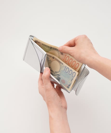 FOLD 2F WALLET ( SILVER )