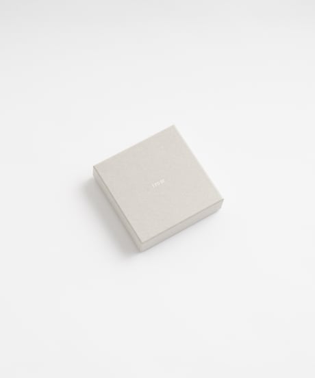 SLANT COIN CASE ( SILVER )