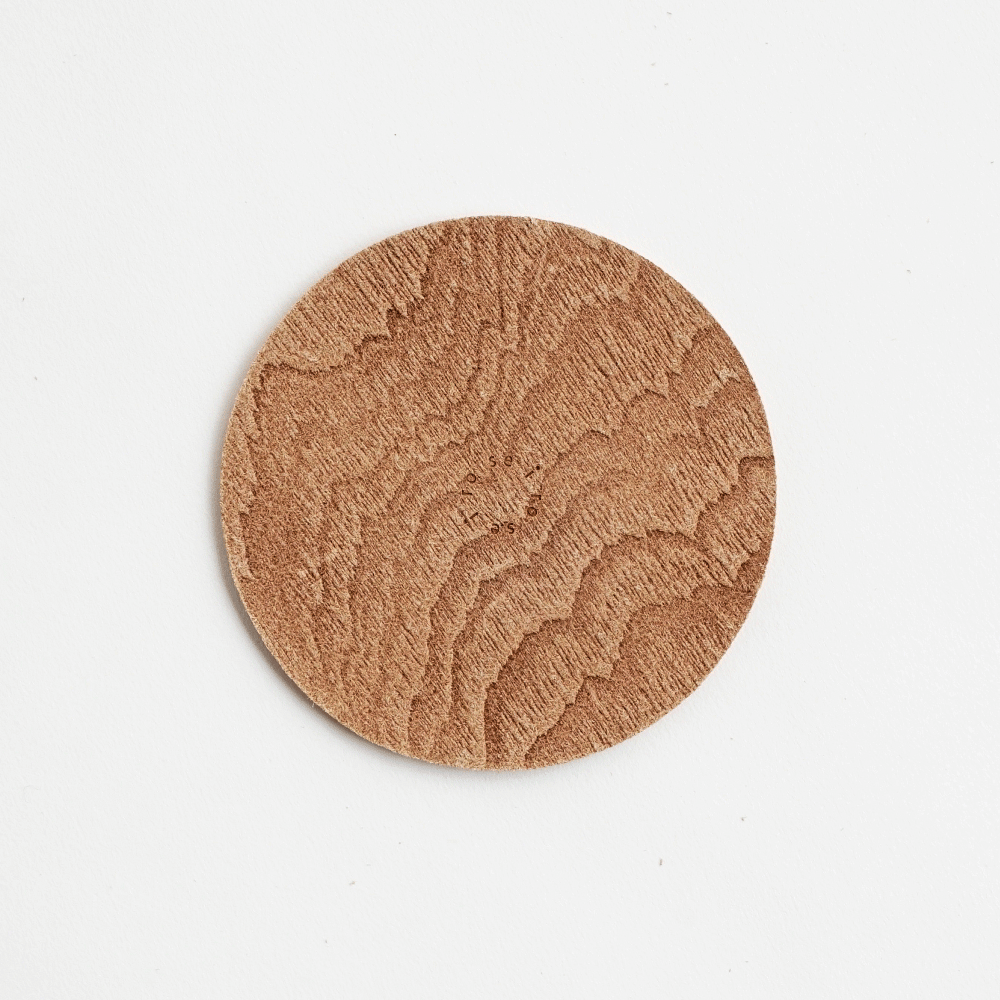 PLYWOOD LEATHER COASTER | i ro se Official On
