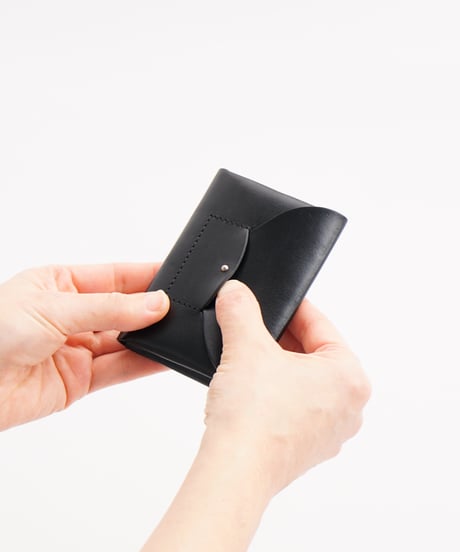 RIC-RAC CARD CASE ( GREEN )