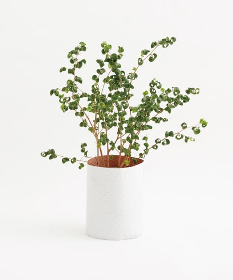 PAPER LEATHER TRASH BASKET  ( WHITE )