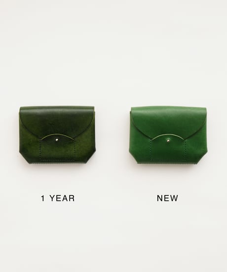 RIC-RAC CARD CASE ( GREEN )