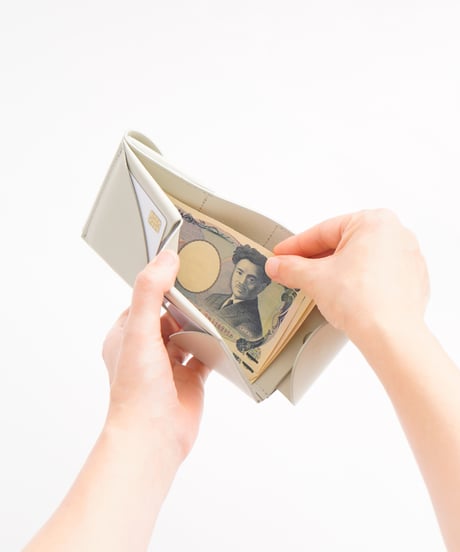 FOLD 2F WALLET ( ICE GRAY / BLACK )
