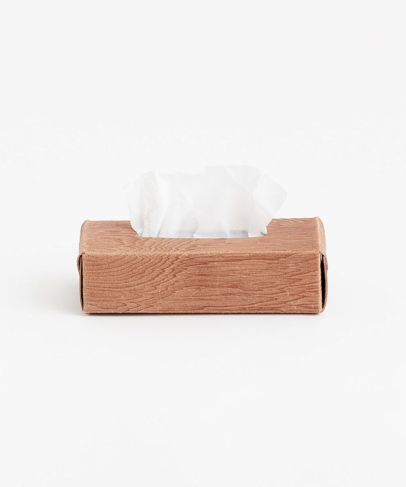 CAPI CORE VAN Tissue Box 限定版 the bonez CAPI CORE VAN Tissue Box 数量限定品 - メルカリ