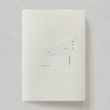 平井真美子「とあるひ」記録集  a day