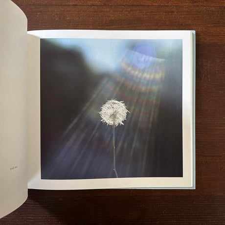 「いまここ」詩：谷川俊太郎　写真：川内倫子　企画：原田郁子