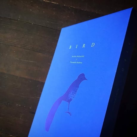 トラネコボンボン「BIRD」