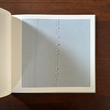 「いまここ」詩：谷川俊太郎　写真：川内倫子　企画：原田郁子