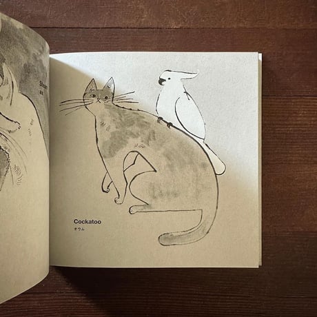 トラネコボンボン「Drawing White」