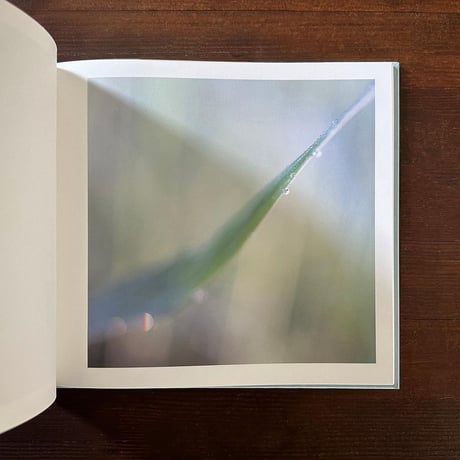 「いまここ」詩：谷川俊太郎　写真：川内倫子　企画：原田郁子