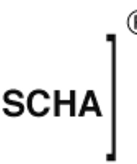 SCHA シャー/ Boat Neck 3/4 Sleeve Top " OE " / Sc-23013 ( Art#1464)