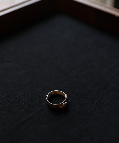 Atelier Inscrire アトリエ インスクリール / COSTUME JEWELLERY NEBULA SILVER RINGリング / At-26009