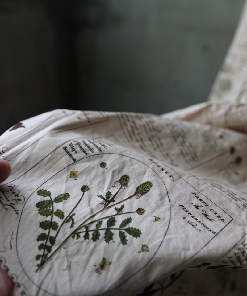 ALEKSANDR MANAMISアレクサンダーマナミ/ WINTER HERBARIUM L