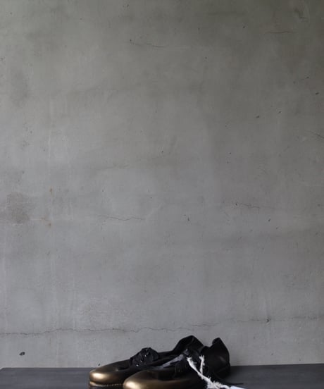 Atelier Inscrire / DUST SHOE靴 / At-24017
