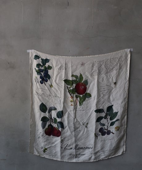 ALEKSANDR MANAMISアレクサンダーマナミ/ LES FRUITS HANDKERCHIEF SCARFスカーフ / am-26012