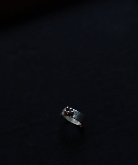 Atelier Inscrire アトリエ インスクリール / COSTUME JEWELLERY NEBULA SILVER RINGリング / At-26009