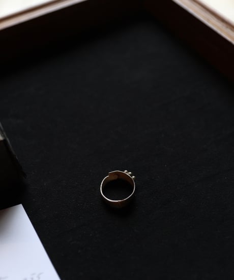Atelier Inscrire アトリエ インスクリール / COSTUME JEWELLERY NEBULA SILVER RINGリング / At-26009