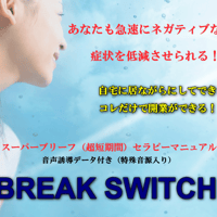 【値下げ期間を延長】   19800円→9800円　BREAK SWITCH !　【ダウンロード販売】