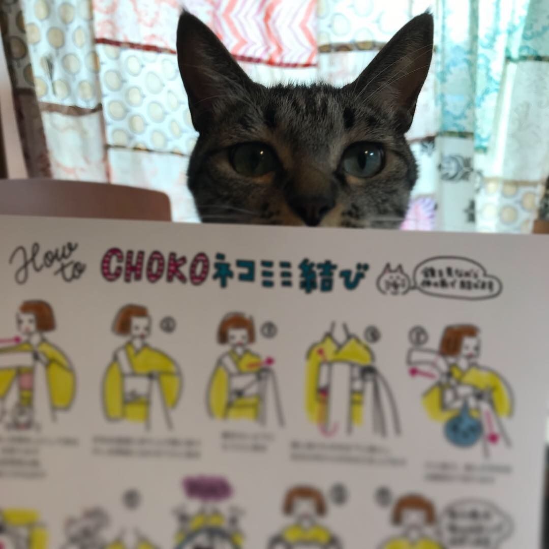ハイカロリイオトメ名古屋帯 I love cat クロネコ猫柄【最終価格】 I love cat名古屋帯 黒猫 | highcaloryotome