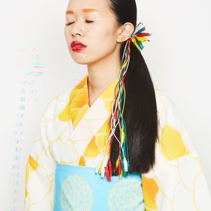 半幅帯 リバーシブル リバーシブル半幅帯『species』 | highcaloryotome