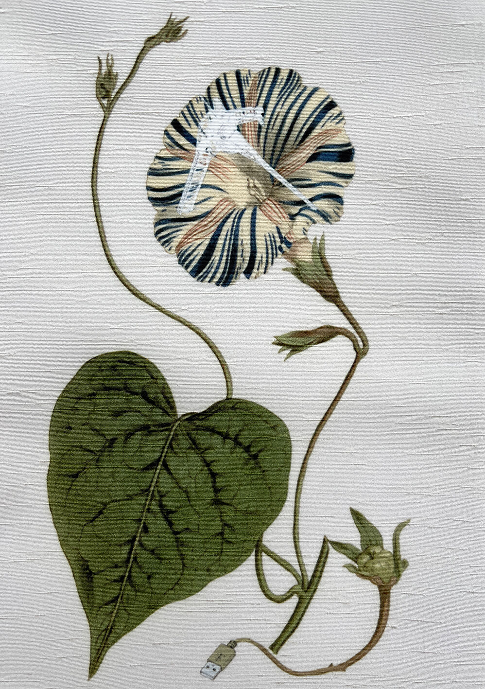 MO-3277 半幅帯 洗える帯 リバーシブル 薔薇 麻の葉 モノトーン 紅樺色 MO-3277 半幅帯 洗える帯 リバーシブル 薔薇 麻の葉 モノトーン