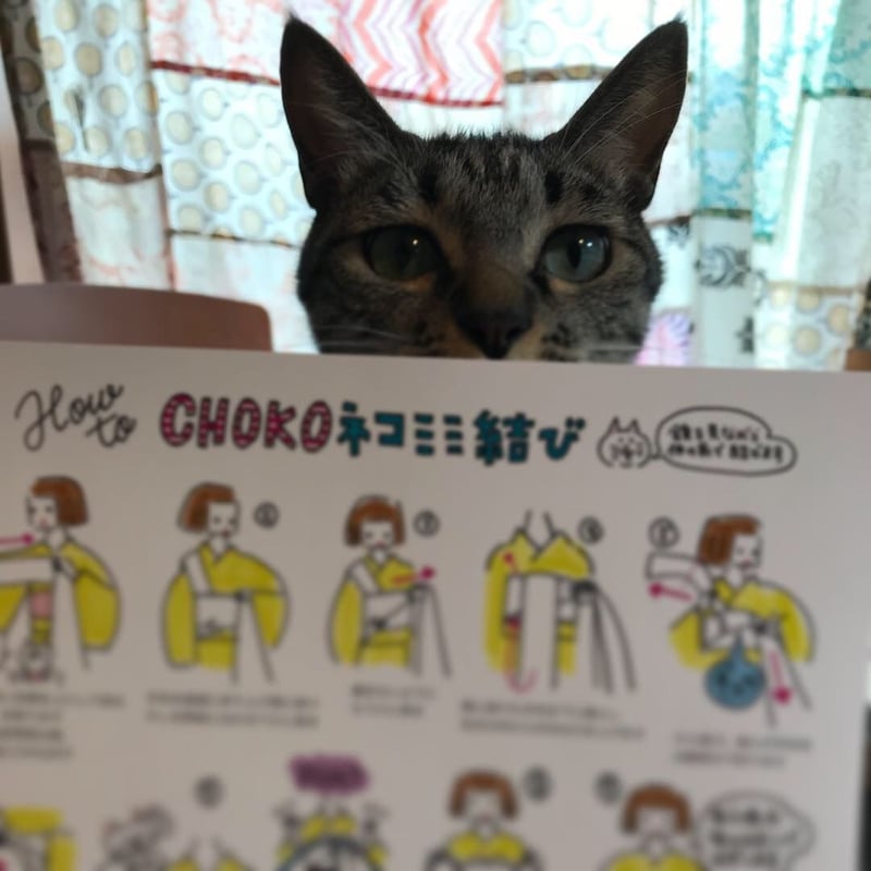 I love cat名古屋帯 キジトラ 受注 | highcaloryotome