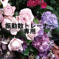 振動数トレーナー専用