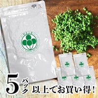 冷凍朝倉山椒（真空パック/軸取済）