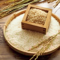 [令和6年産] 別宮棚田米 最後のアキタコマチ【玄米】