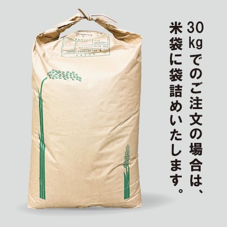 [令和6年産] 別宮棚田米 最後のアキタコマチ【玄米】
