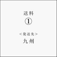 差額送料① ＜発送先＞九州