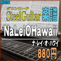 スチールギター楽譜　Na Lei O Hawaii　ナレイオハワイ　ダウンロード楽譜