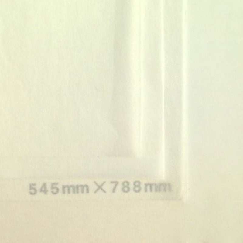 ホワイト20g 272mmx197mm 8000枚 | tutumupaper20