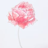 FLORALUXE