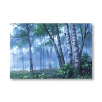 ACCA13区監察課　背景美術画集 Amazon.co.jp: TVアニメ『ACCA13区監察課』背景美術画集