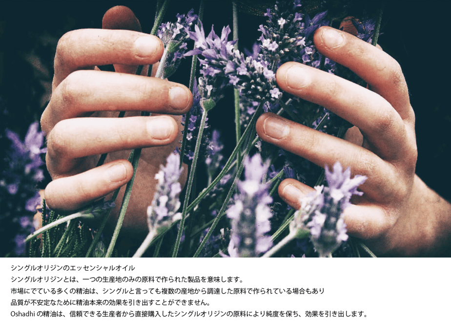 63f480afd77a6f297dc7bd0c