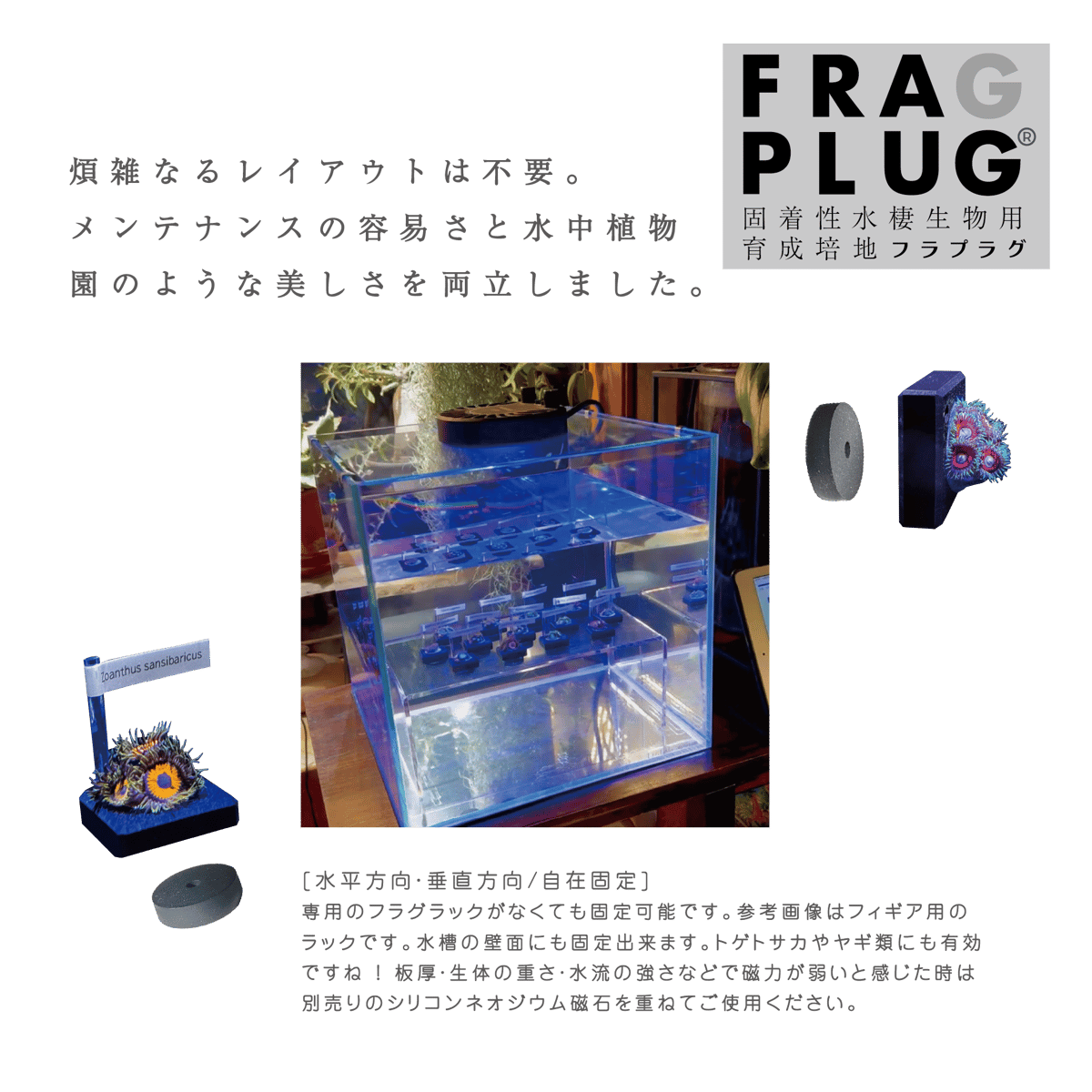 DR.REEF up-CS1水質改善剤 10t用　ハンナ【新品】ダイノス対策にも 新しいDR.REEF「up-CS1 水質改善剤」海水専用 for 10t – 帆南HANNA